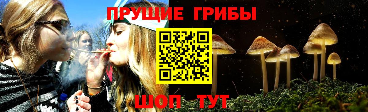 Таганрог  даркнет сайт  Вход с VPN  Галлюциногенные грибы мицелий 